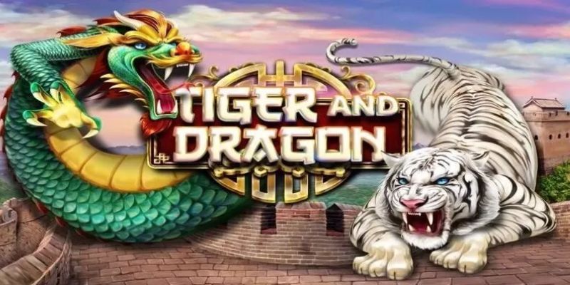 Những thông tin cần biết về Rồng Hồ Những thông tin cần biết về Rồng Hồ
